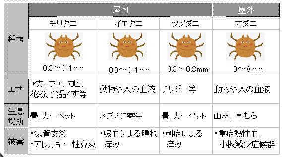 おすすめ情報｜【7月】家に潜むダニを徹底退治｜あらたについて｜株式会社あらた