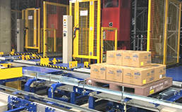 Automated Pallet Warehouse