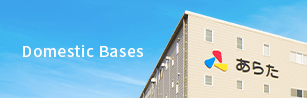 Domestic Bases