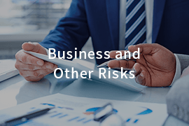 Business and Other Risks